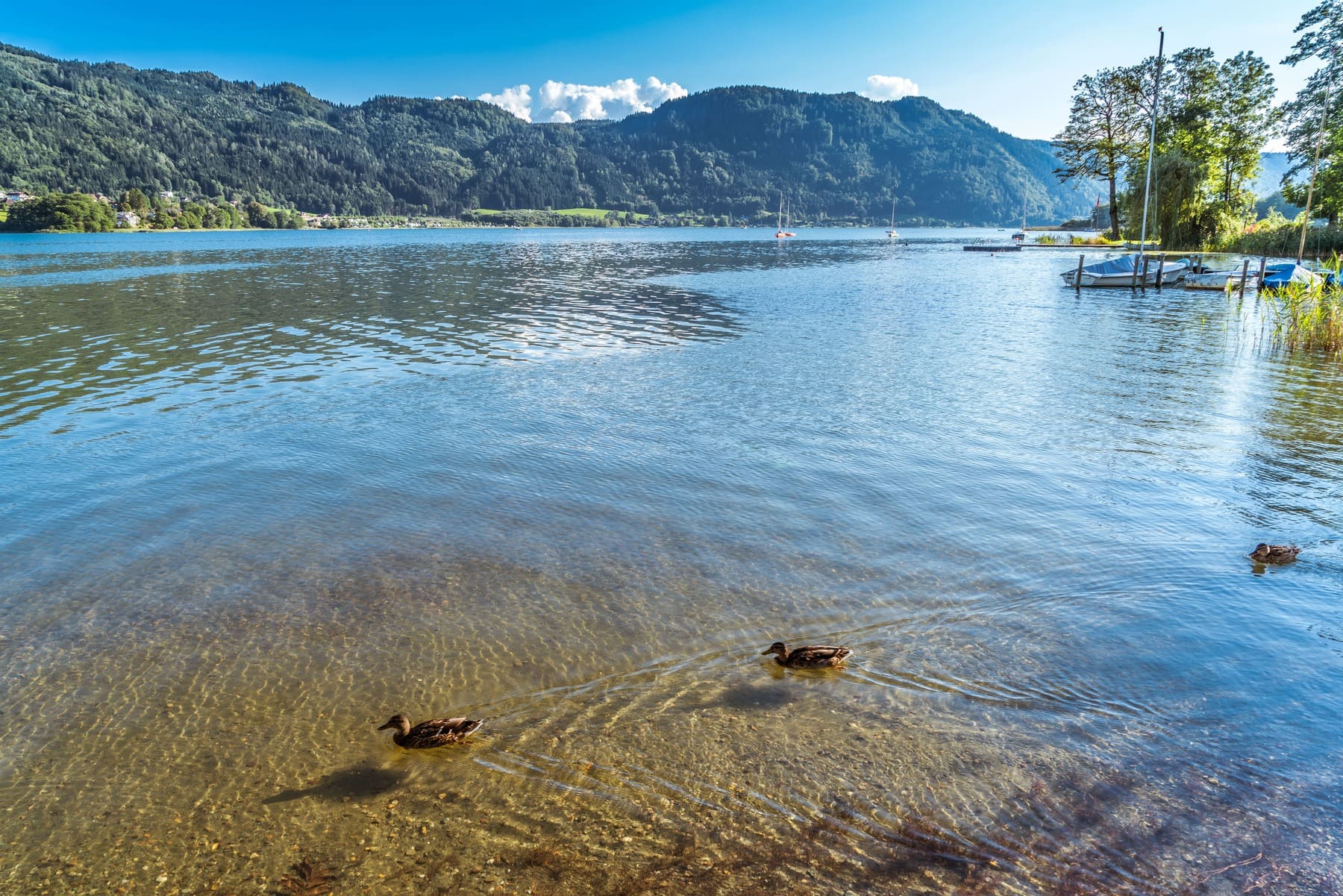 ferienhaus sonnseitn ossiacher see freizeit und erlebnisse